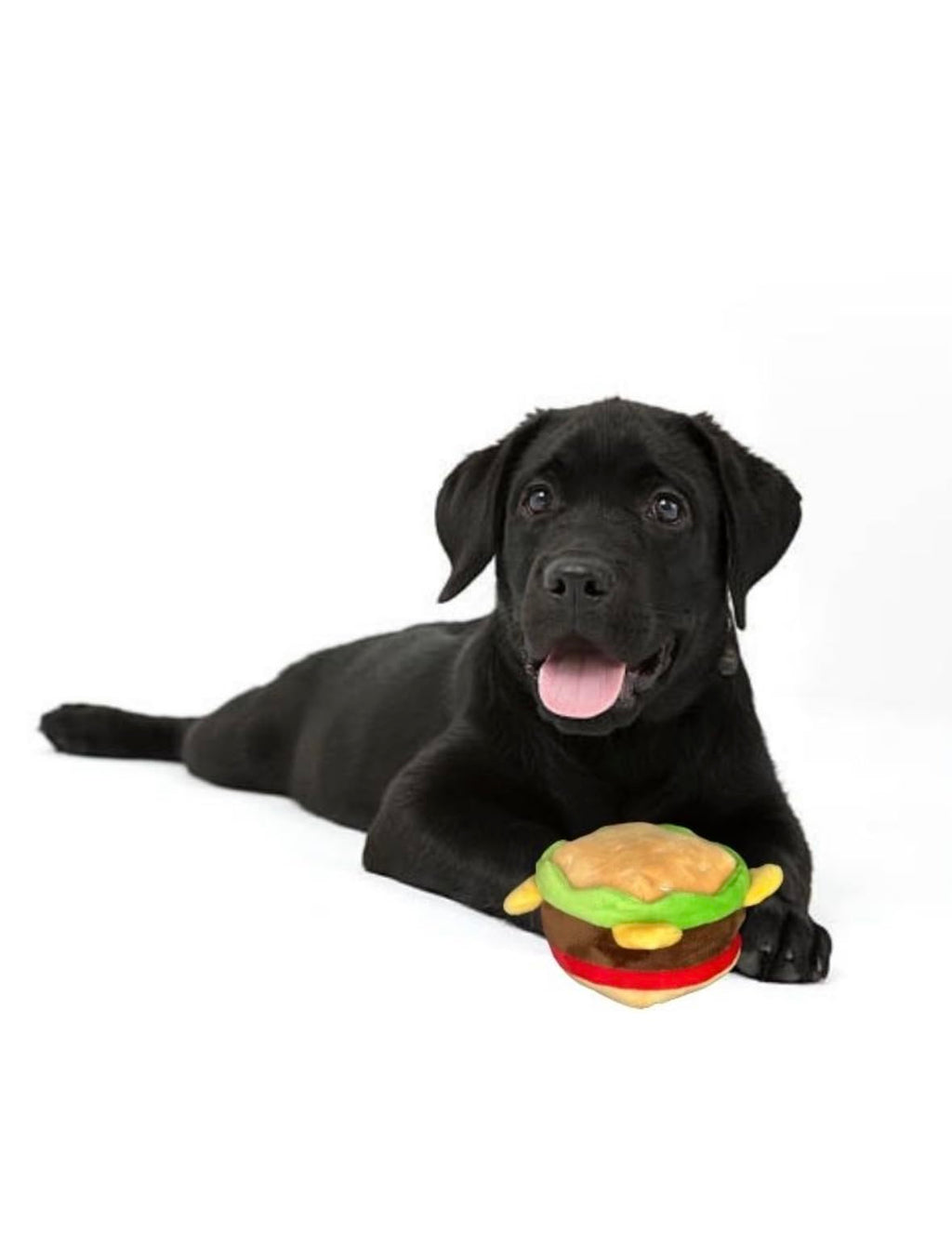 Hamburger Dog Toy with Squeaker Q679