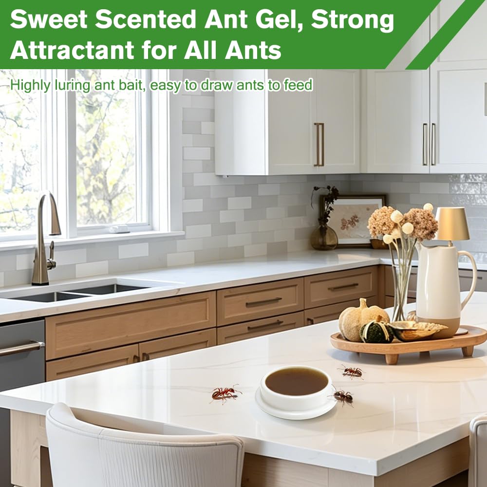 Ant Gel Bait E598