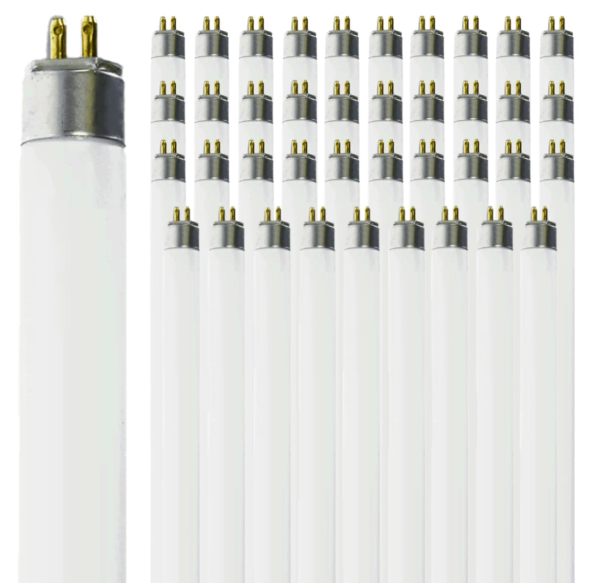 T5 Fluorescent Bulb 24 Inch 5000K Bright White 14W Pack of 40 M624682