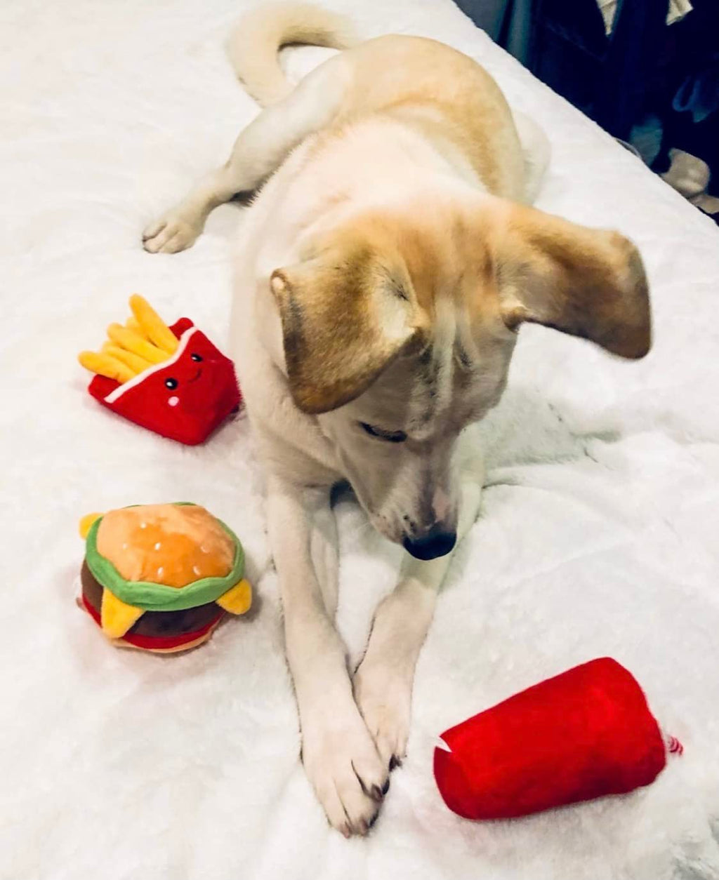 Hamburger Dog Toy with Squeaker Q679