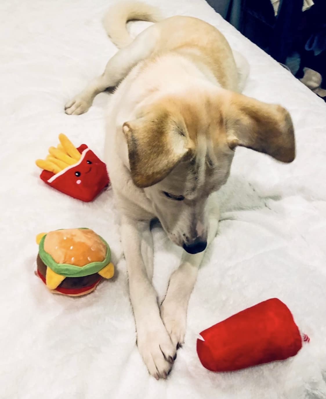 Hamburger Dog Toy with Squeaker Q679