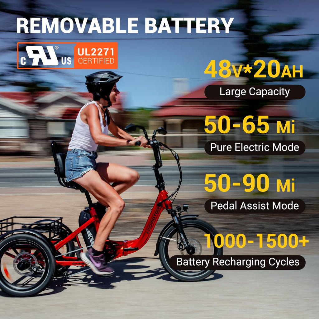 Folding Electric Tricycle 750W 48V 20Ah UL2849 J801308