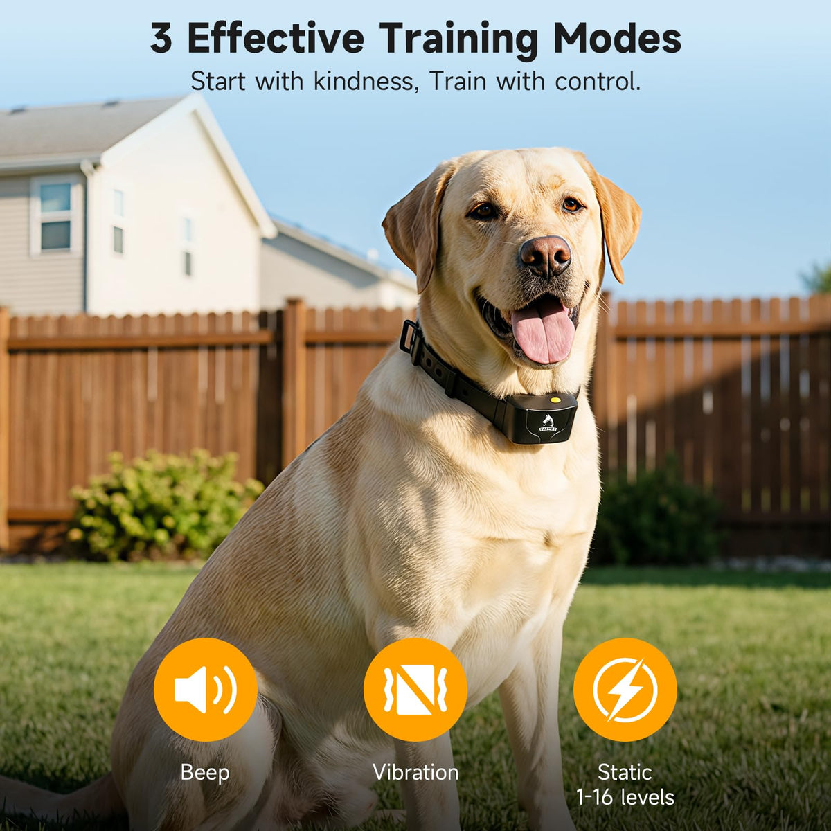 Dog Training Collar IPX7 Waterproof C81275