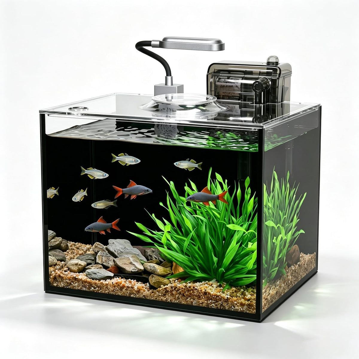 2.5 Gallon Aquarium Starter Kit with Light C422228