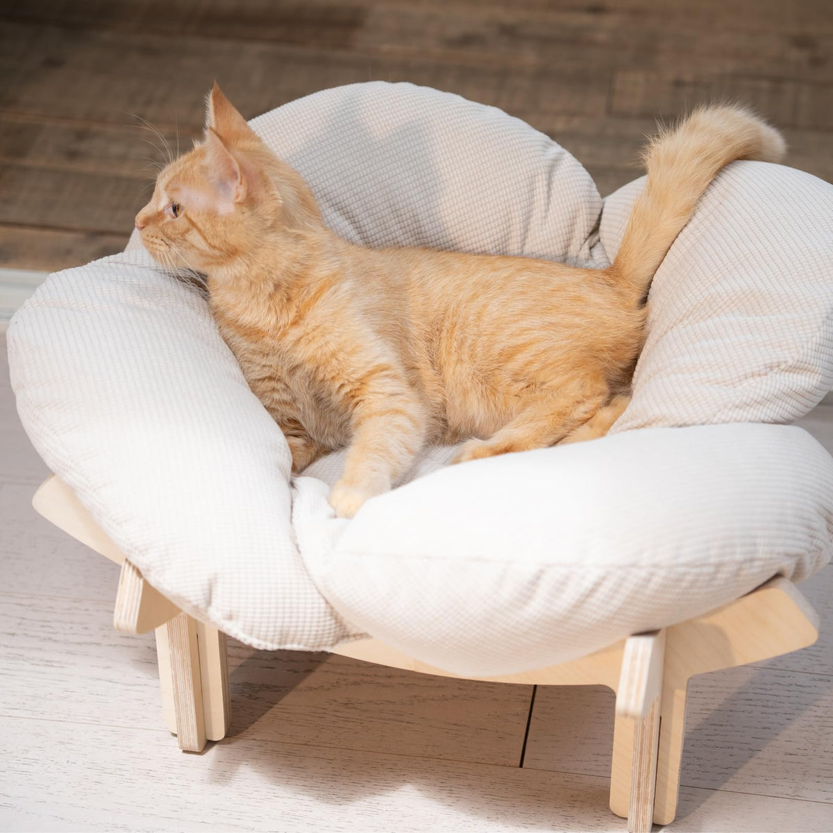 Elevated Cat Bed B44227