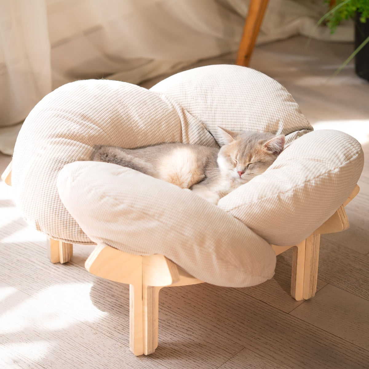 Elevated Cat Bed B44227