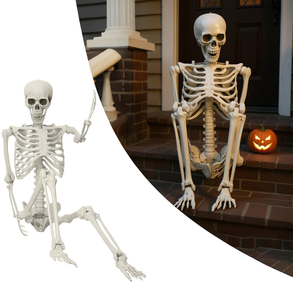 5.4ft Poseable Skeleton F7091