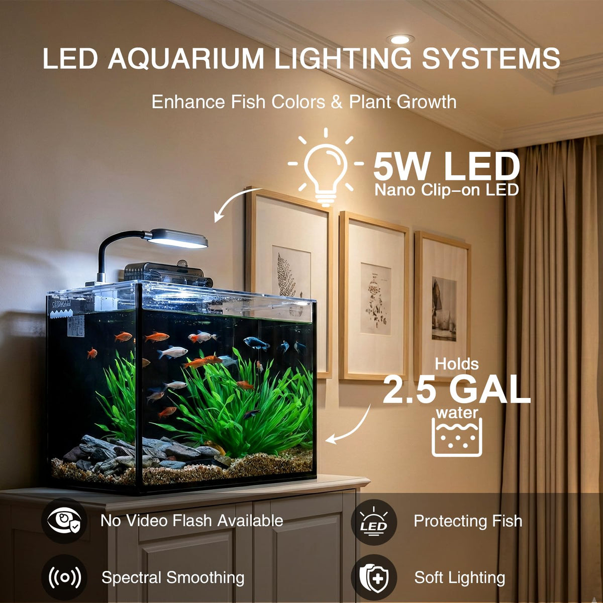 2.5 Gallon Aquarium Starter Kit with Light C422228