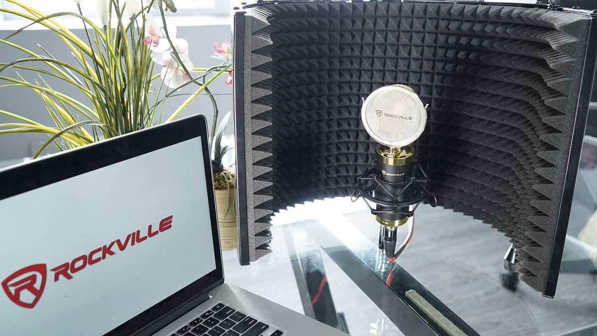 Condenser Mic with Metal Shock Mount I548