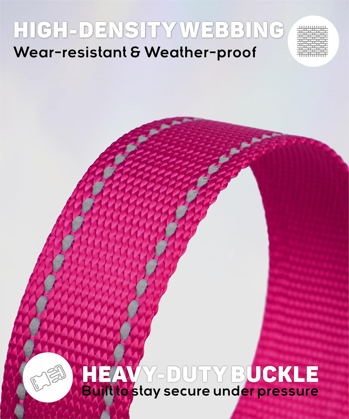 Reflective Small Dog Collar F166031