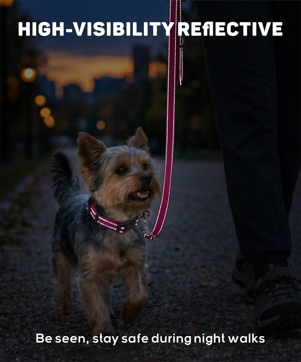 Reflective Small Dog Collar F166031