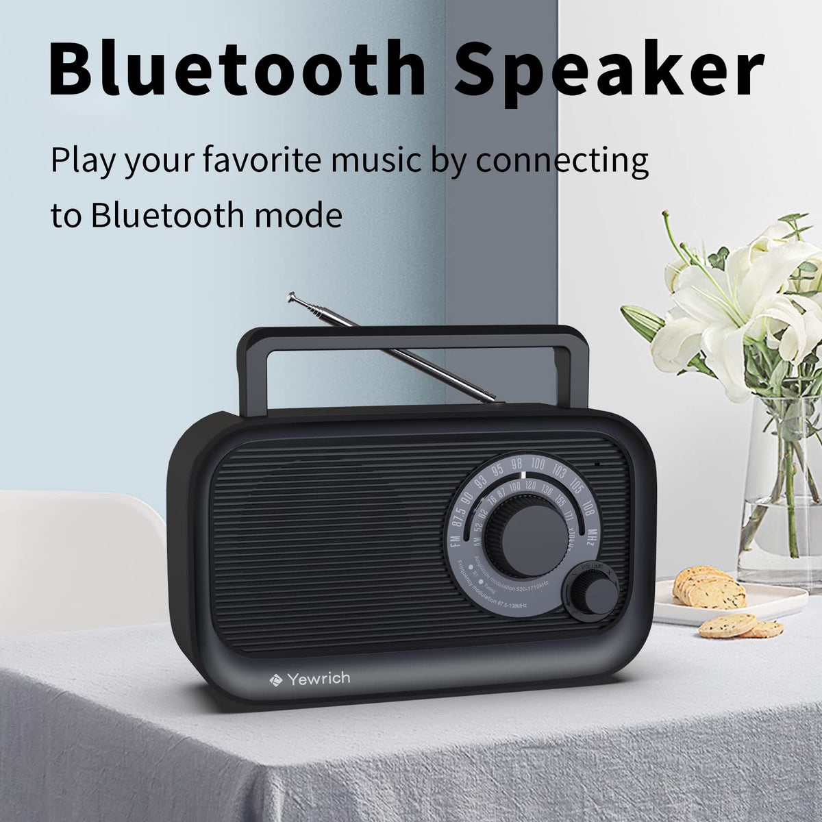 AM FM Radio with Bluetooth B6191