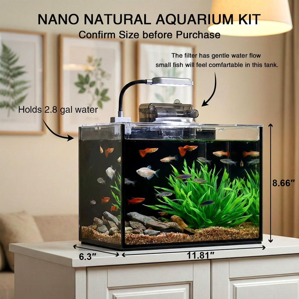 2.5 Gallon Aquarium Starter Kit with Light C422228