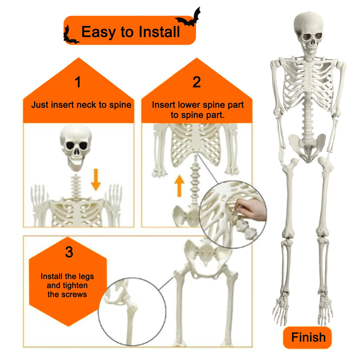 5.4ft Poseable Skeleton F7091