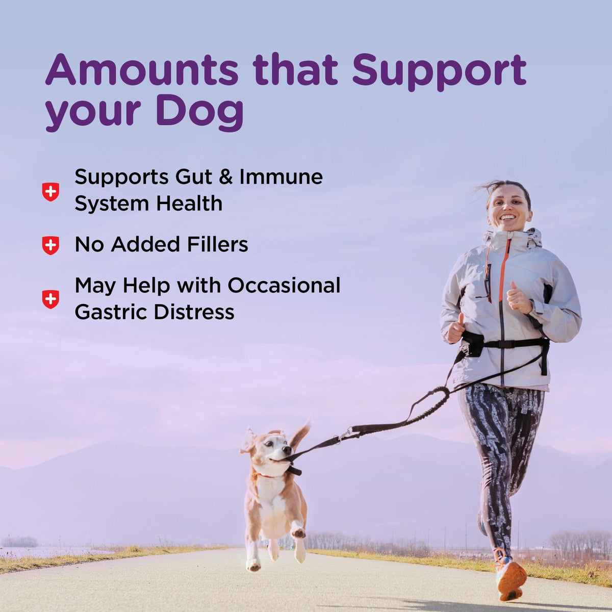 Dog Bladder Control 90 Tablets Z65058