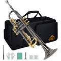 Bb Trumpet Set with Carrying Case, Gloves, 7C Mouthpiece, Tuning Rod, Black Nickel F621