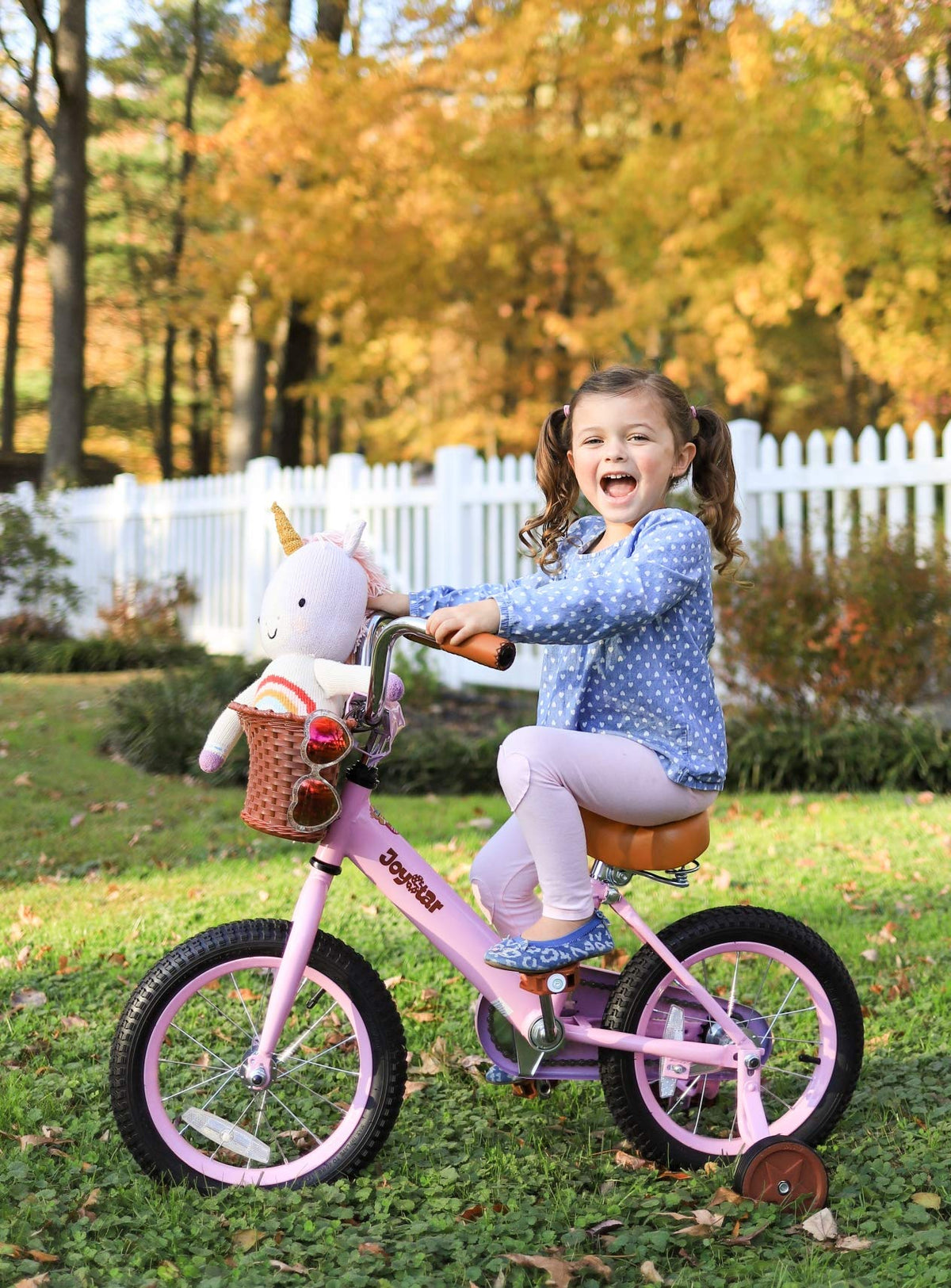 12-16" Kids Bike with Training Wheels K2899