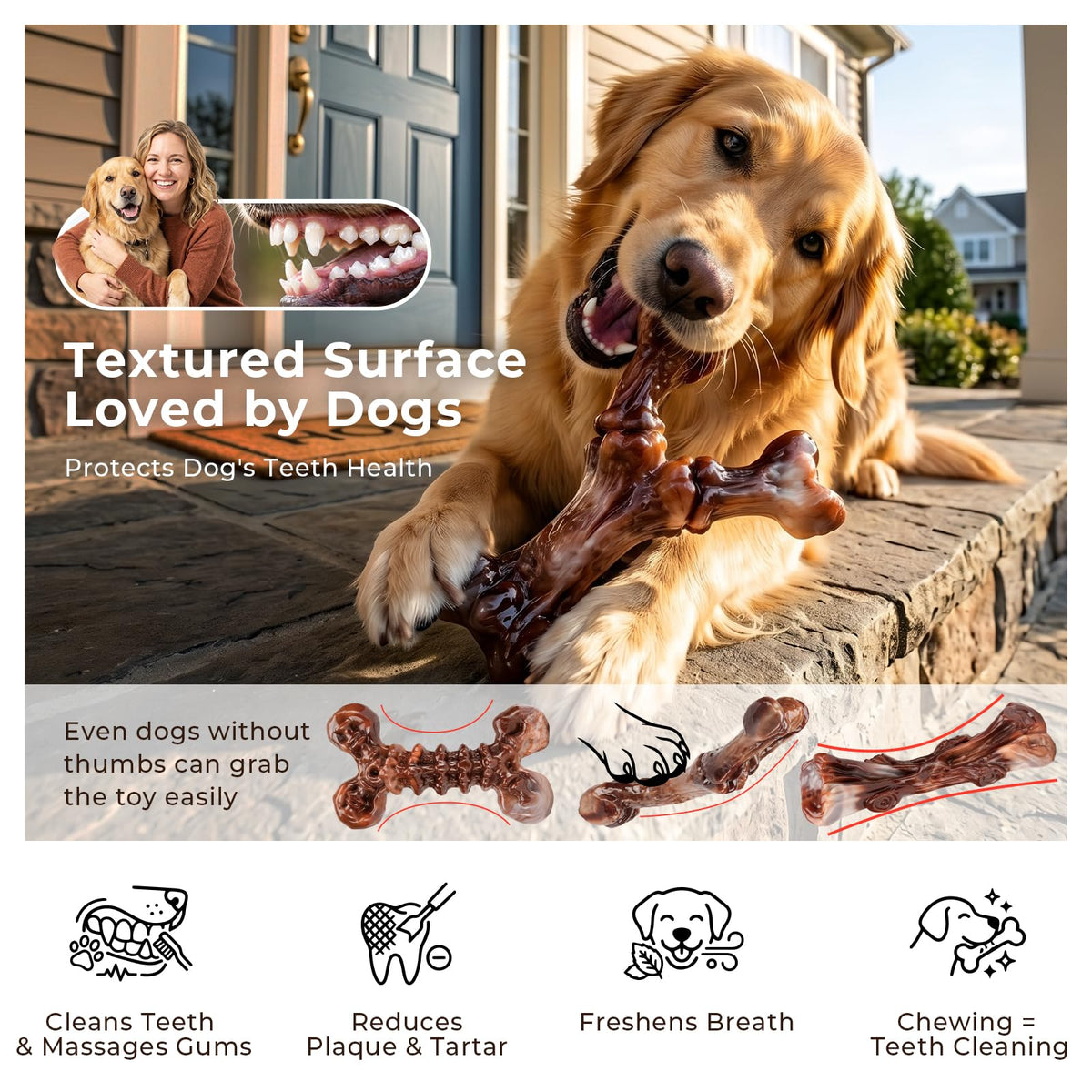3-Pack Dog Chew Toys C6635