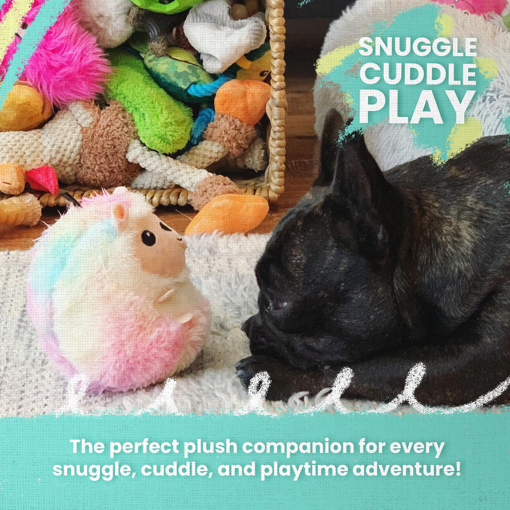 Dog Toy with Squeaker and Crinkle N37683