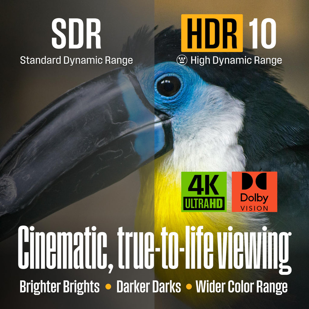 55 Inch 4K UHD Smart Outdoor TV N453584