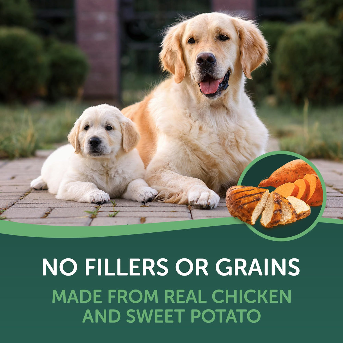 Chicken Wrapped Sweet Potato Dog Treats 16oz R869512