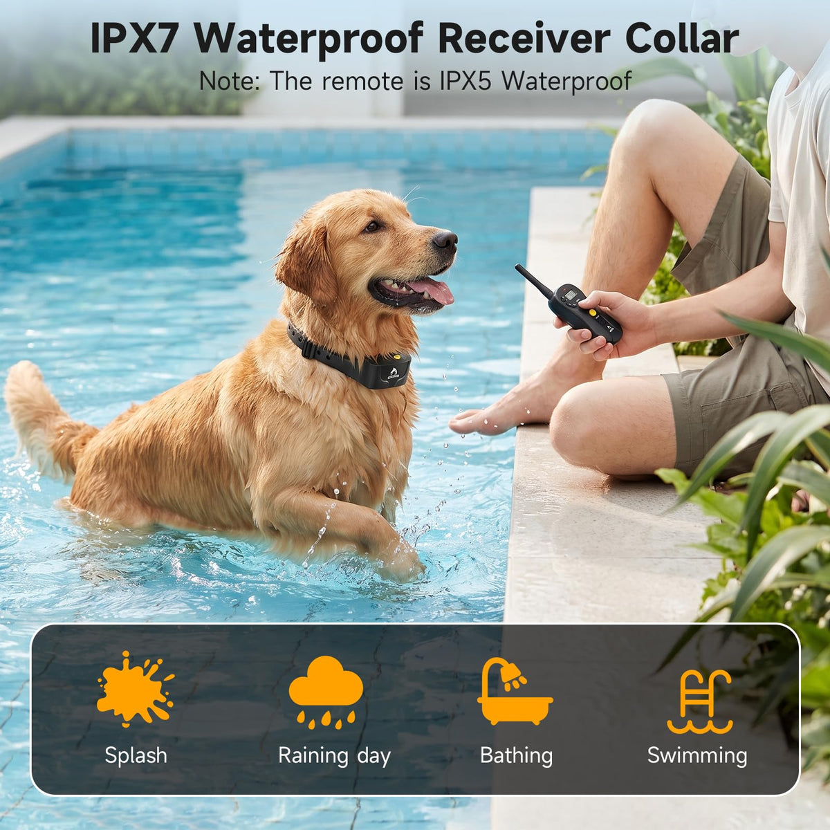 Dog Training Collar IPX7 Waterproof C81275