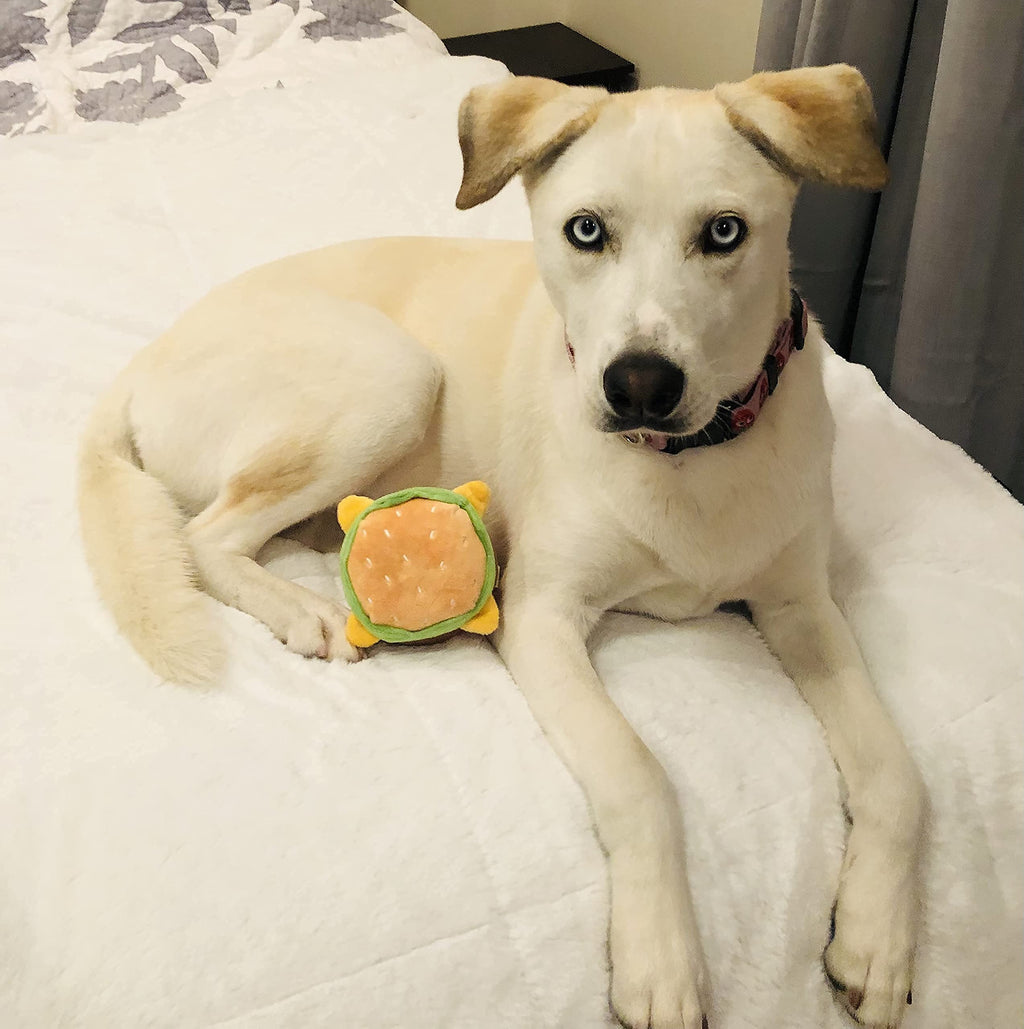Hamburger Dog Toy with Squeaker Q679