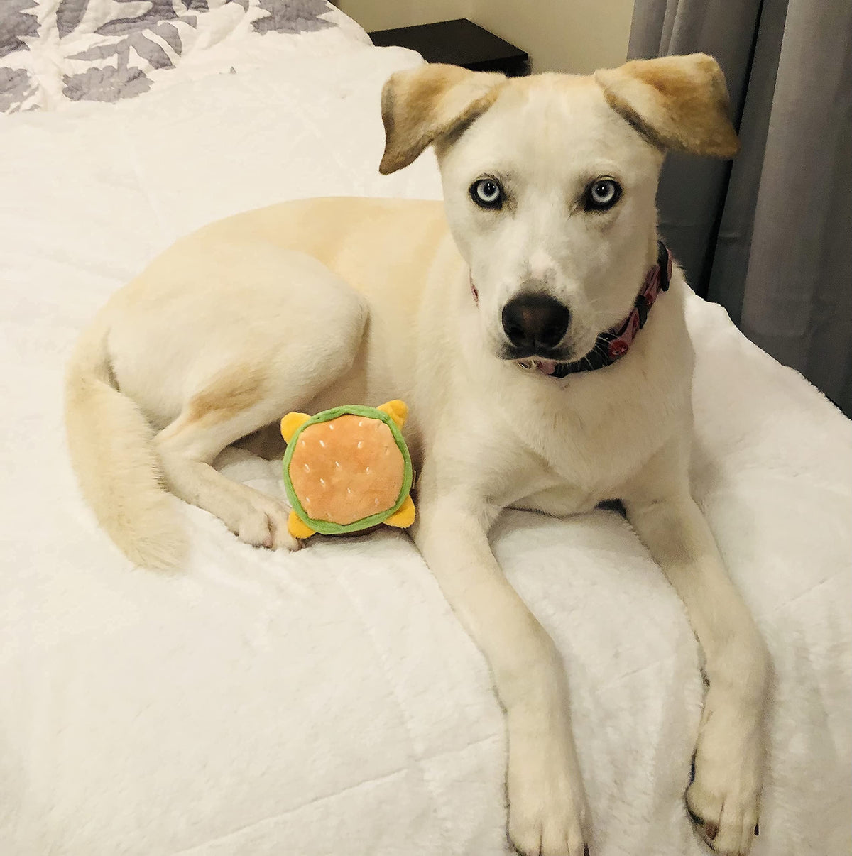Hamburger Dog Toy with Squeaker Q679