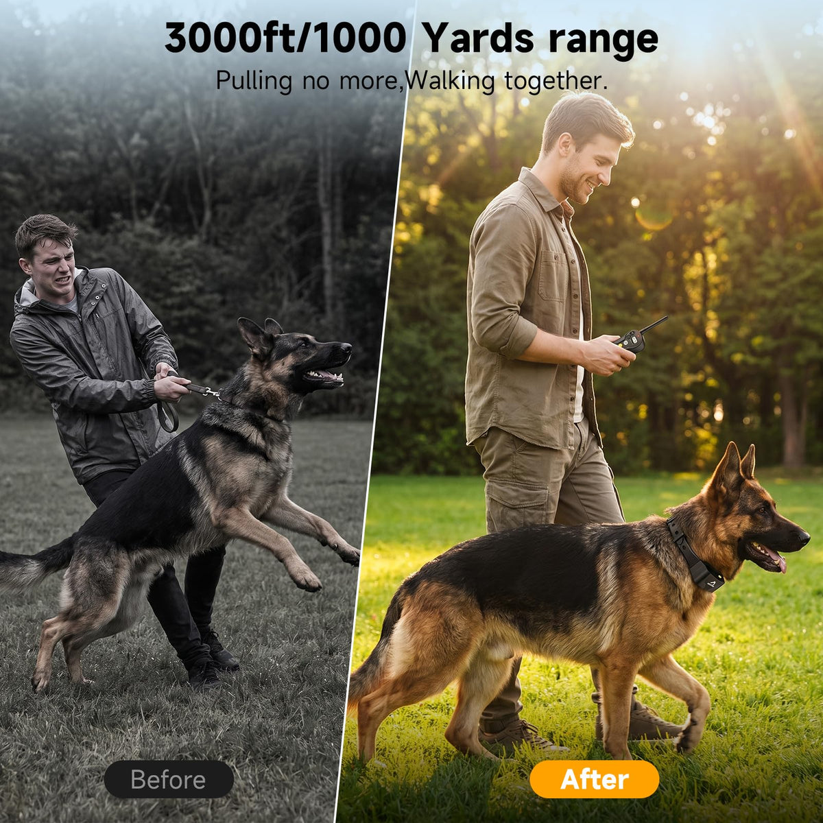 Dog Training Collar IPX7 Waterproof C81275