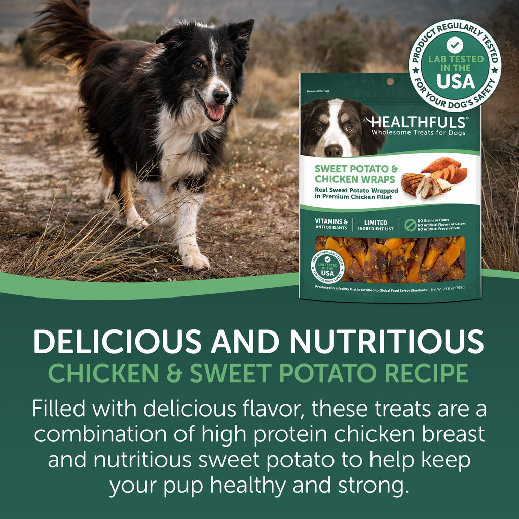 Chicken Wrapped Sweet Potato Dog Treats 16oz R869512