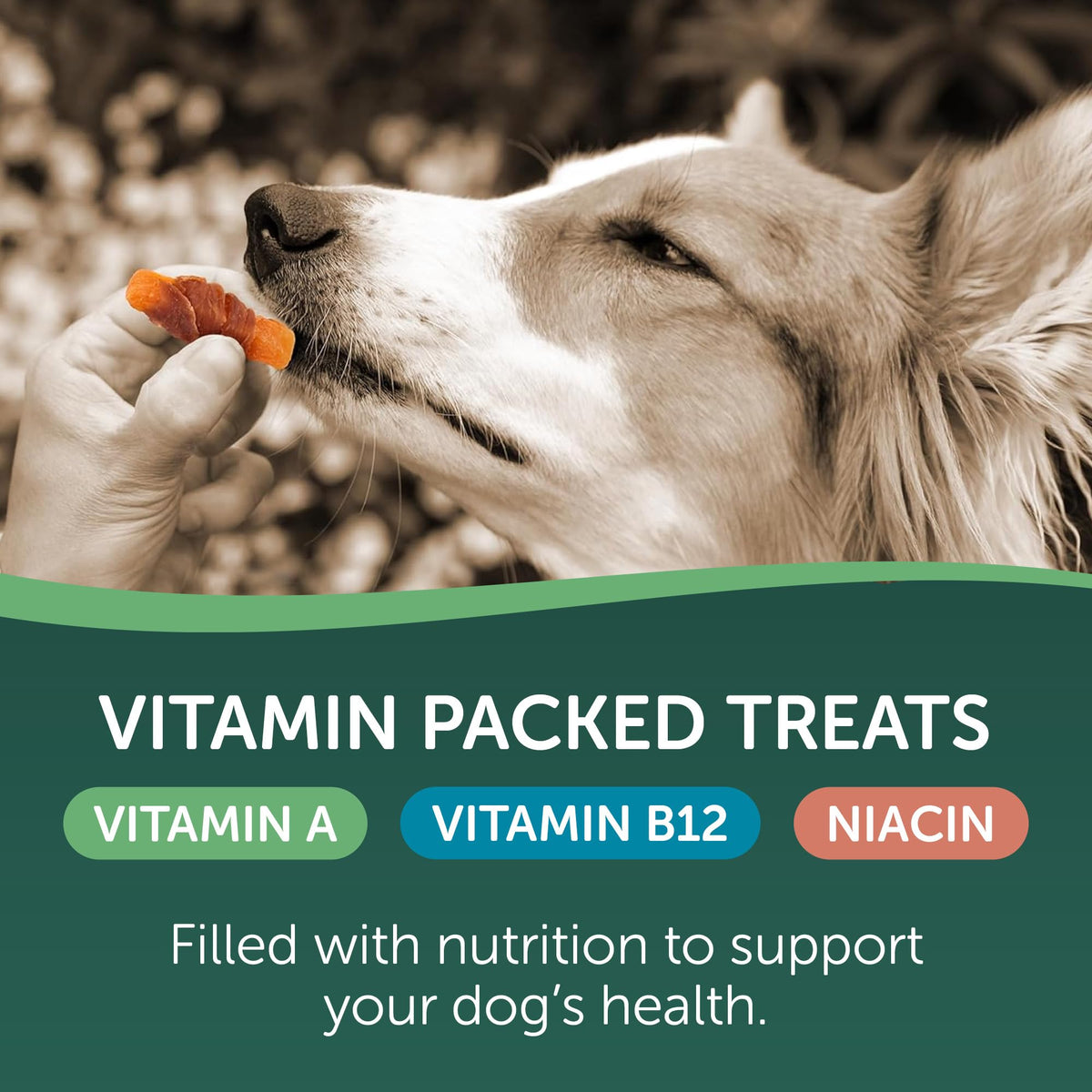 Chicken Wrapped Sweet Potato Dog Treats 16oz R869512