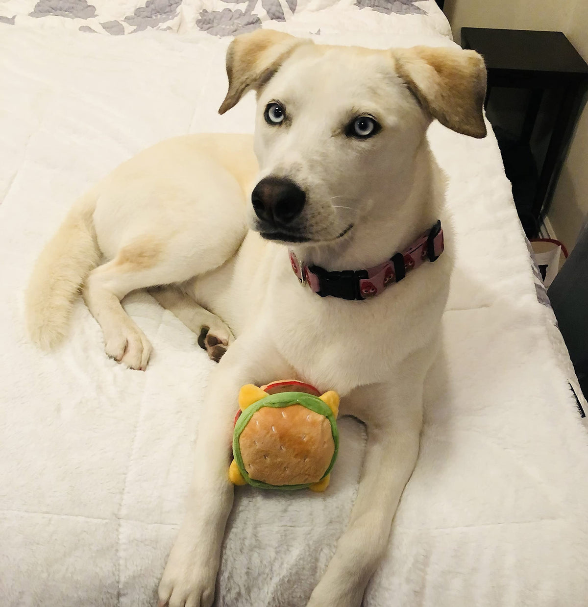Hamburger Dog Toy with Squeaker Q679