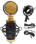 Condenser Mic with Metal Shock Mount I548