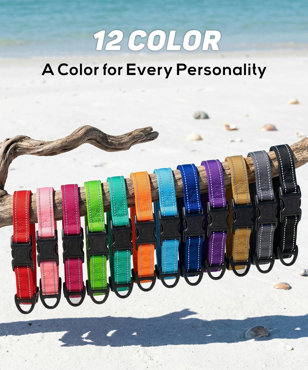 Reflective Small Dog Collar F166031