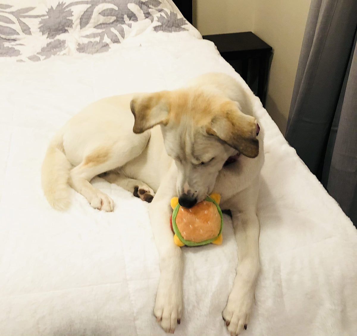 Hamburger Dog Toy with Squeaker Q679
